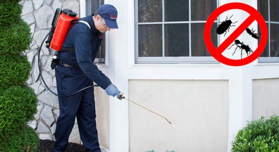 Saraykent Bit İlaçlama böcek ilaçlama ve haşere kontrolü — ilaclama-tr.com
